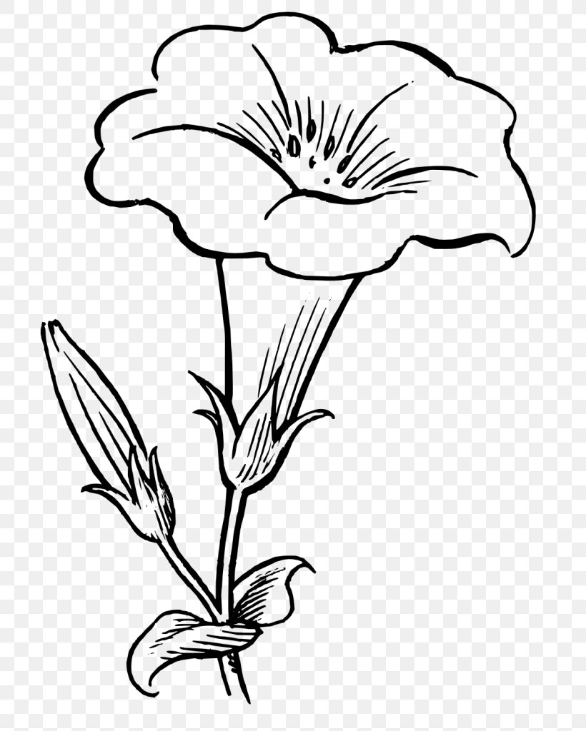 Flower Plant Petal Line Art Black-and-white, PNG, 747x1024px, Flower, Blackandwhite, Line Art, Pedicel, Petal Download Free