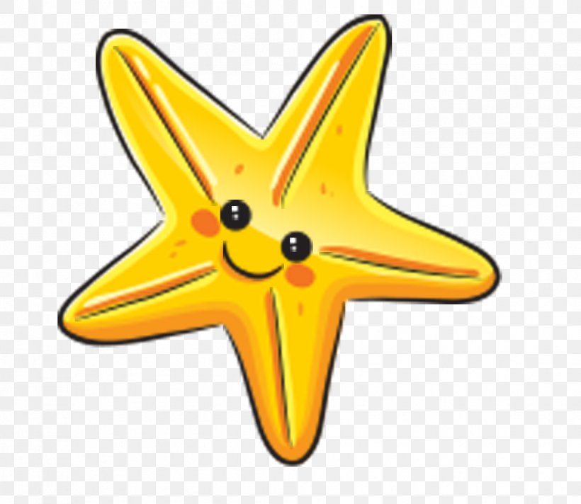 Starfish, PNG, 1008x876px, Starfish, Animal, Drawing, Echinoderm, Fivepointed Star Download Free