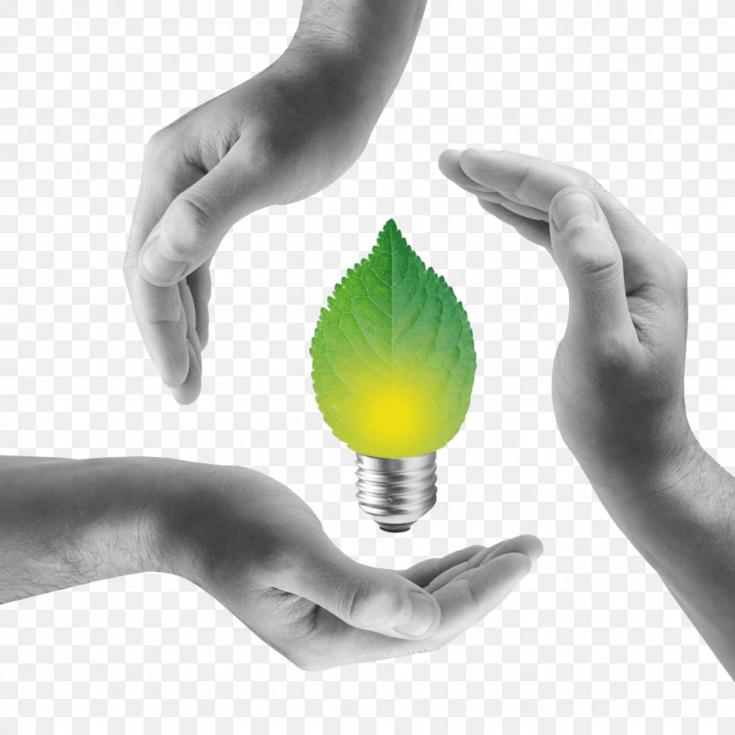 Electricity Renewable Energy Energy Development Business, PNG, 1024x1024px, Electricity, Bolletta, Business, Electric Current, Electrical Energy Download Free