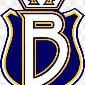 Espoo Blues SM-liiga Espoo Metro Areena Ice Hockey Hockey Club PNG