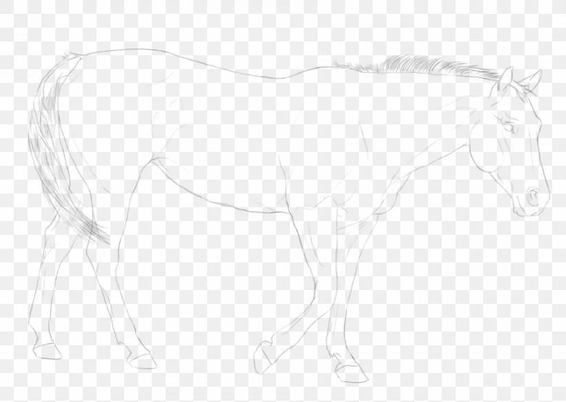 Mane Mustang Friesian Horse Stallion Pony, PNG, 900x639px, Mane, Artwork, Black And White, Bridle, Colt Download Free