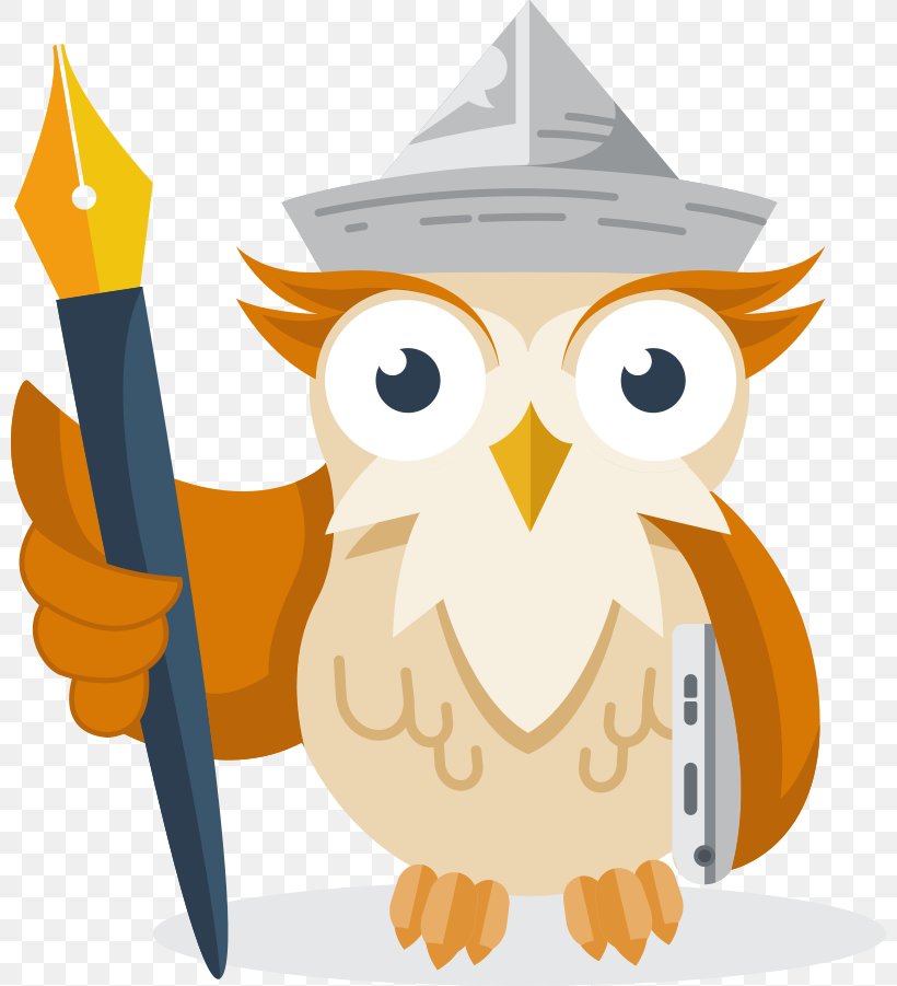Owl Privacy Policy Personally Identifiable Information Clip Art, PNG, 800x901px, Owl, Art, Beak, Bird, Bird Of Prey Download Free