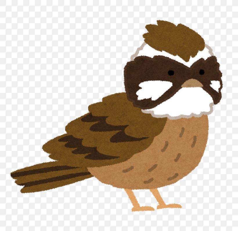 Caregiver Chicken Bird Meadow Bunting Old Age, PNG, 800x796px, Caregiver, Beak, Bird, Bird Of Prey, Chicken Download Free