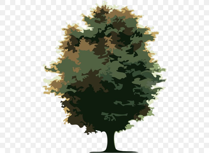 Cdr Tree, PNG, 497x600px, Cdr, Banyan, Coreldraw, Leaf, Maidenhair Tree Download Free
