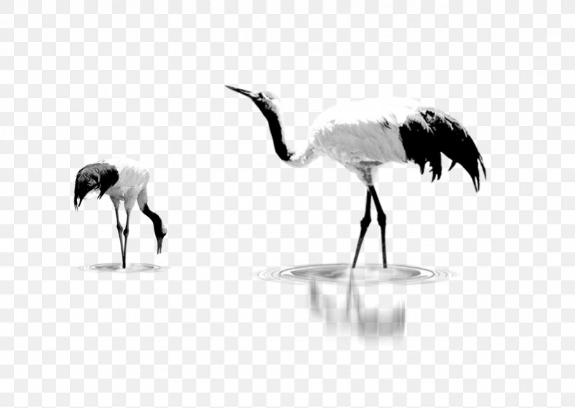 Crane, PNG, 1283x912px, Crane, Beak, Bird, Black And White, Crane Like Bird Download Free