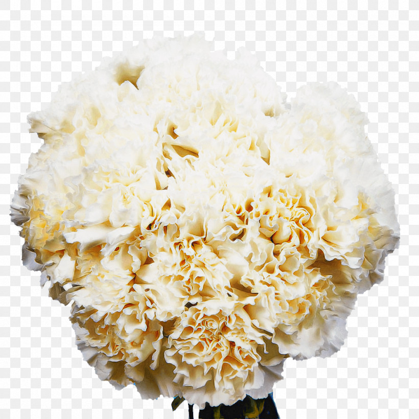 Flower Bouquet, PNG, 1000x1000px, Cut Flowers, Carnation, Flower, Flower Bouquet Download Free