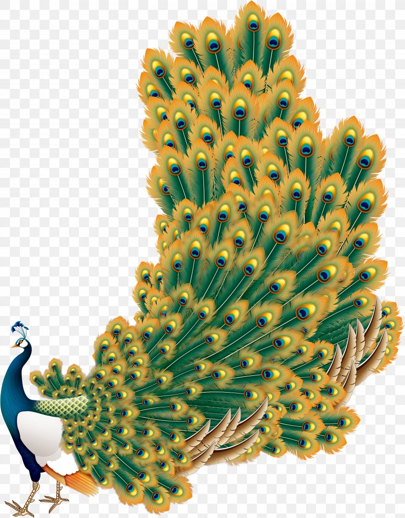 Peafowl, PNG, 4046x5180px, Peafowl, Cactus, Caryophyllales, Feather, Flowering Plant Download Free