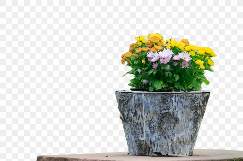 Flowerpot Houseplant Flower Plant Yellow, PNG, 2448x1632px, Flowerpot, Bouquet, Cut Flowers, Flower, Grass Download Free