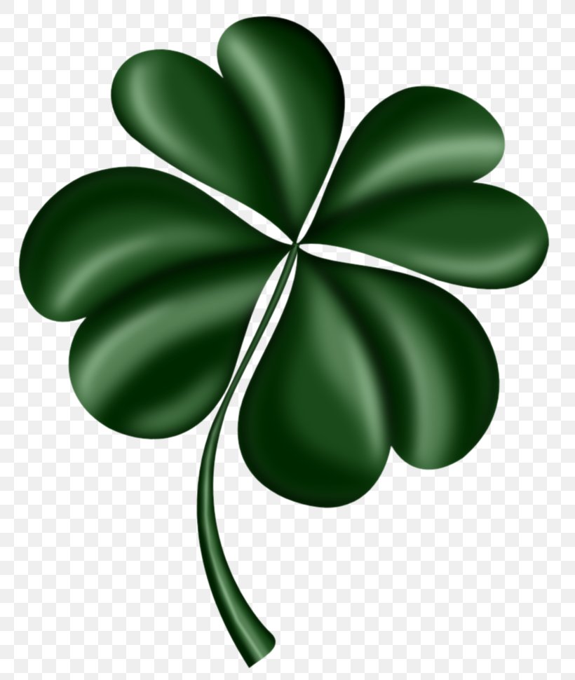 Four-leaf Clover Shamrock Saint Patrick's Day, PNG, 802x970px, Fourleaf Clover, Clover, Flowering Plant, Green, Leaf Download Free