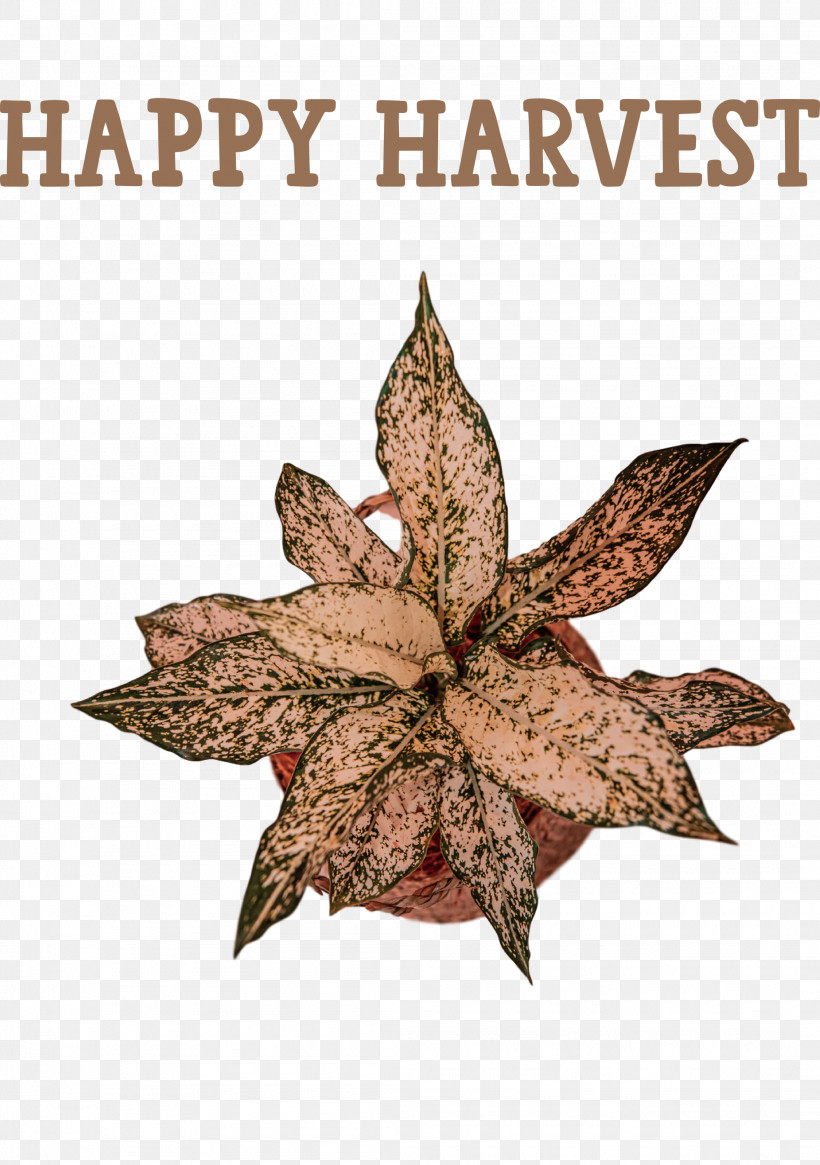Happy Harvest Harvest Time, PNG, 2110x3000px, Happy Harvest, Danone, Drawing, Greek Cuisine, Greeks Download Free