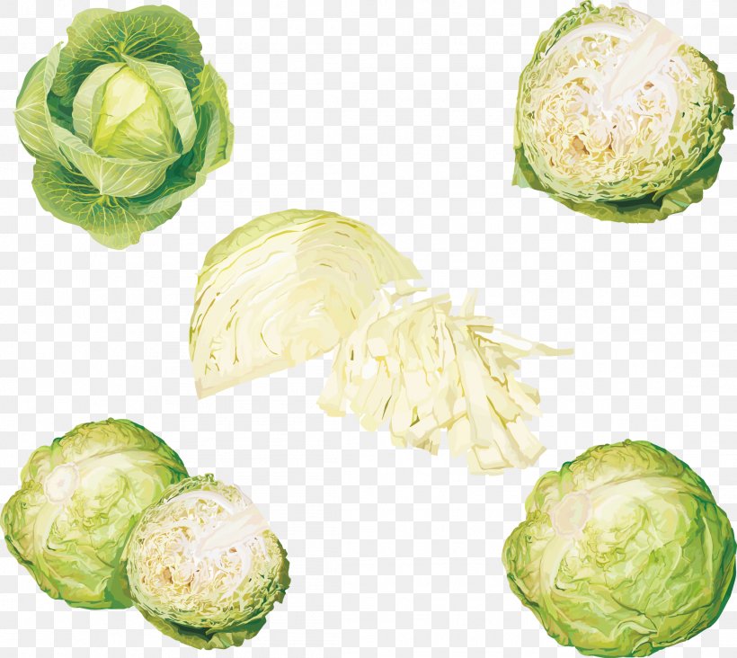 Leaf Vegetable Cabbage, PNG, 2216x1980px, Vegetable, Broccoli, Brussels Sprout, Cabbage, Chinese Cabbage Download Free