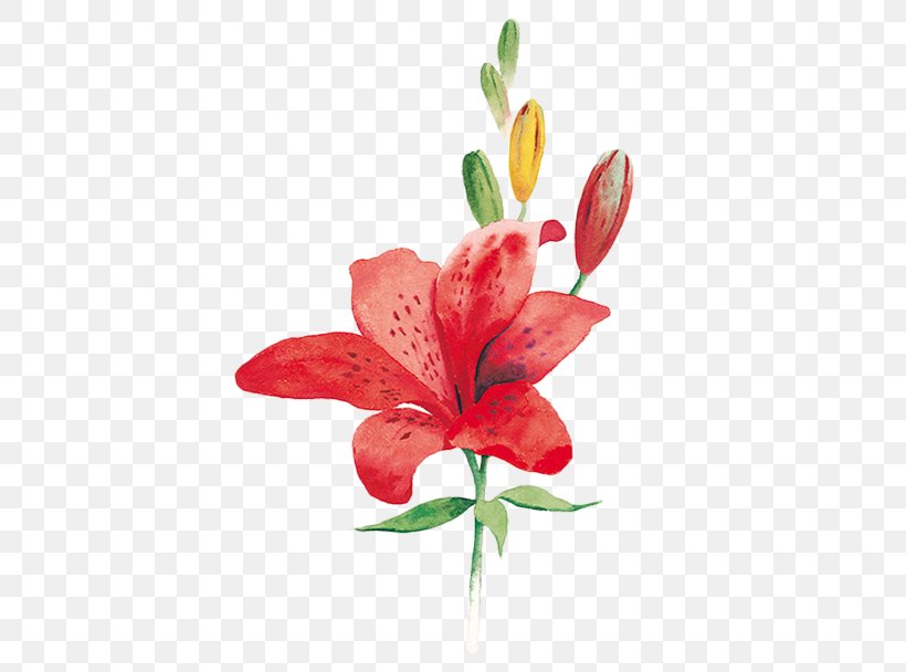 Lily Image Vector Graphics Watercolor Painting Download, PNG, 422x608px, Lily, Color, Cut Flowers, Flower, Flowering Plant Download Free