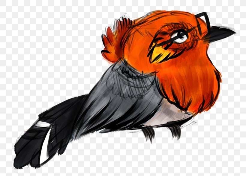 Parrot Illustration Beak Feather Graphics, PNG, 800x589px, Parrot, Art, Beak, Bird, Carnivoran Download Free