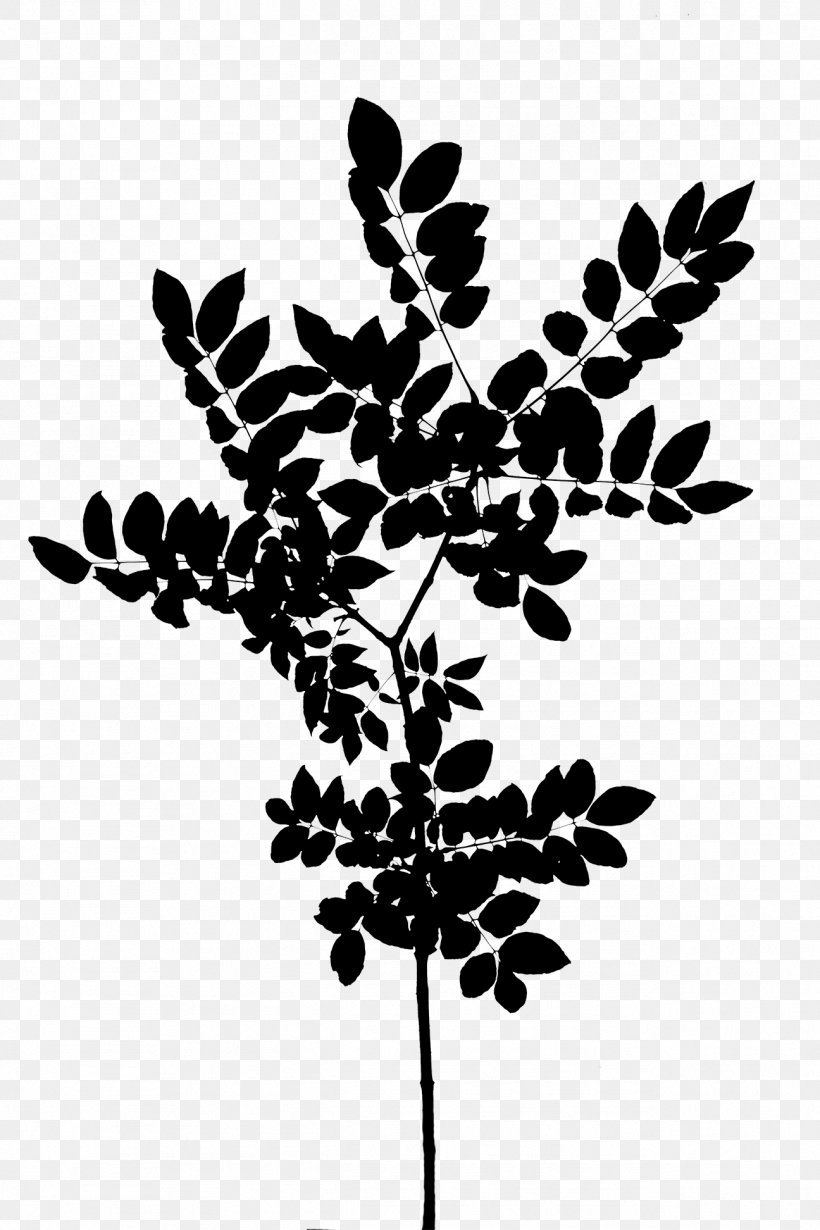 Twig Plant Stem Leaf Font Silhouette, PNG, 1296x1944px, Twig, Blackandwhite, Botany, Branch, Flower Download Free