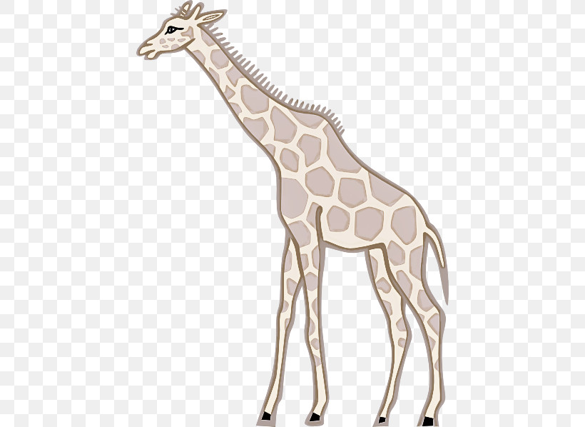 Giraffe Meter Animal Figurine Pattern Giraffids, PNG, 438x598px, Giraffe, Animal Figurine, Biology, Giraffids, Meter Download Free