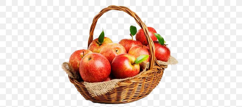 Apple Cider The Basket Of Apples, PNG, 800x364px, Apple Cider, Apple, Apple Cider Vinegar, Basket, Basket Of Apples Download Free