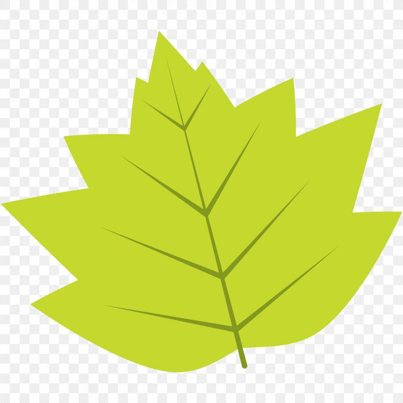 Autumn Leaf Drawing, PNG, 1800x1800px, Autumn, Autumn Leaf Color, Drawing, Green, Leaf Download Free