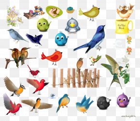 Bird - Bird Feather Parakeet Clip Art PNG