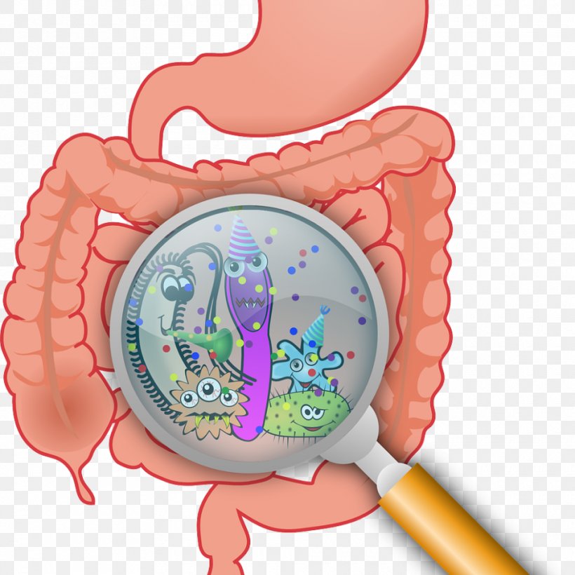 Gastrointestinal Tract Gut Flora Irritable Bowel Syndrome Large Intestine Leaky Gut Syndrome, PNG, 960x960px, Watercolor, Cartoon, Flower, Frame, Heart Download Free