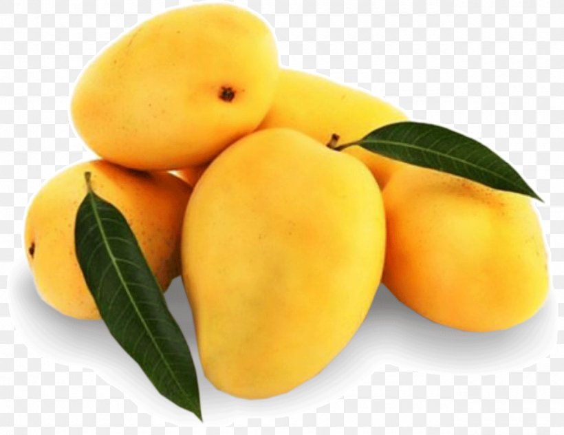 India Mango Alphonso Fruit Mangifera Indica, PNG, 1280x987px, India, Alphonso, Apricot, Benishan, Bitter Orange Download Free