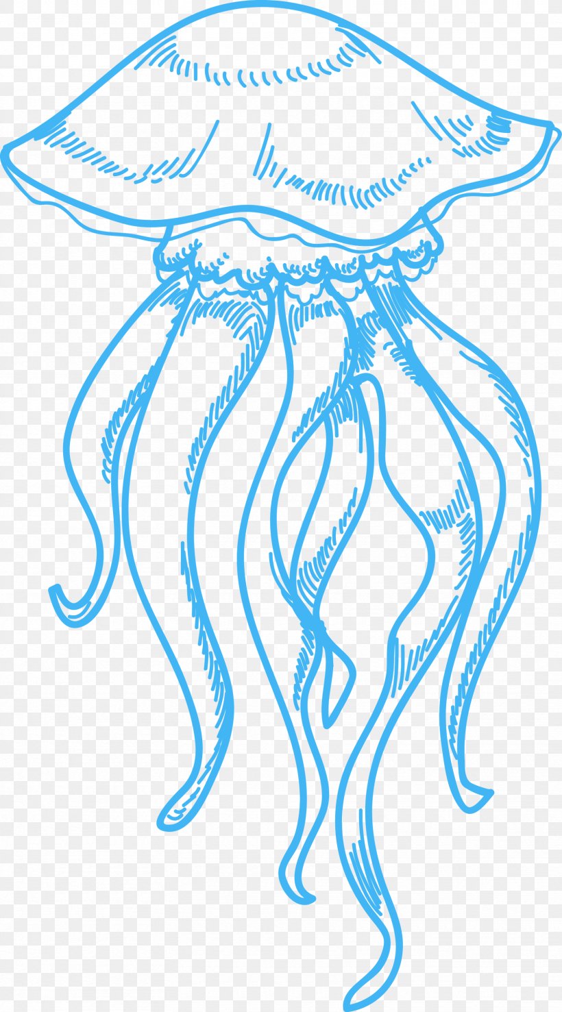 Jellyfish Drawing Sea Clip Art, PNG, 1665x3000px, Jellyfish, Area, Drawing, Ink, Line Art Download Free