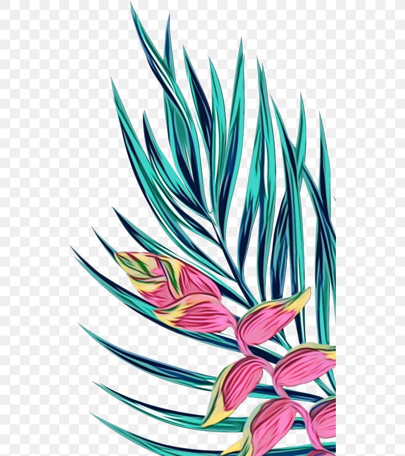 Leaf Plant Flower Grass Family Clip Art, PNG, 540x924px, Watercolor, Flower, Flowering Plant, Grass Family, Herbaceous Plant Download Free