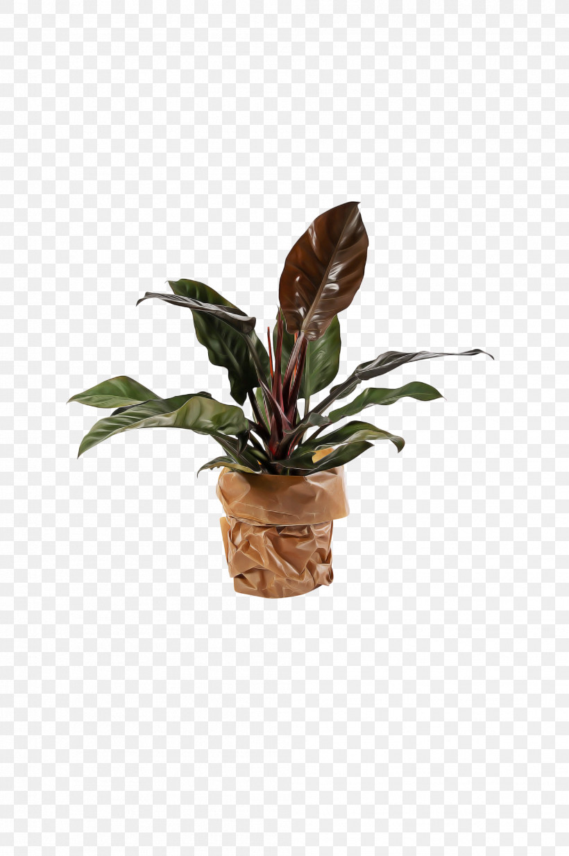 Houseplant Houseplant, PNG, 1992x3000px, Houseplant Download Free