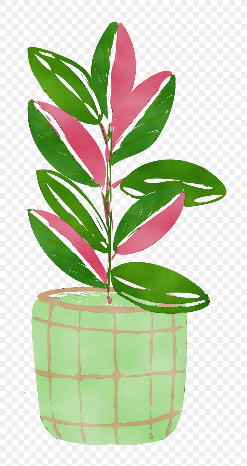 Leaf Plant Stem Houseplant Flowerpot Tree, PNG, 1324x2500px, Plant, Biology, Flowerpot, Garden, Gardening Download Free