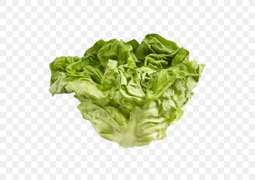 Romaine Lettuce Cabbages Glucosinolate Spring Greens Kale, PNG, 580x580px, Romaine Lettuce, Brussels Sprout, Cabbages, Chard, Choy Sum Download Free