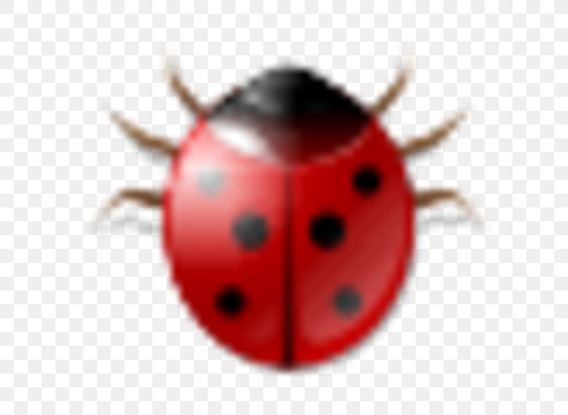 Beetle Lady Bird, PNG, 600x600px, Beetle, Arthropod, Insect, Invertebrate, Lady Bird Download Free