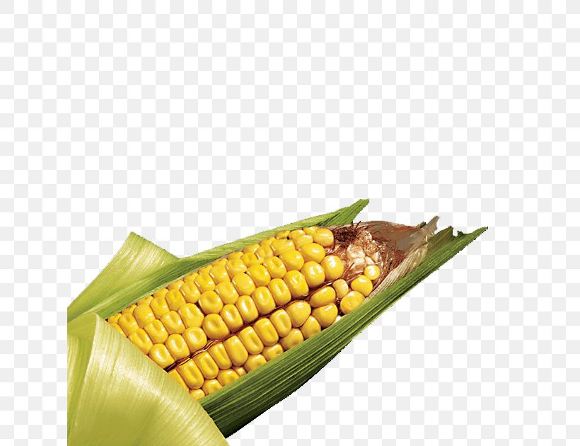 Corn On The Cob SmartStax Maize Field Corn Corn Kernel, PNG, 630x630px, Corn On The Cob, Commodity, Corn Ethanol, Corn Kernel, Corn Kernels Download Free