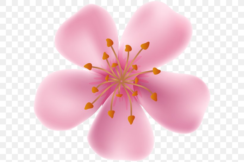 Drawing Flower Clip Art, PNG, 600x547px, Drawing, Art, Blossom, Cherry Blossom, Close Up Download Free