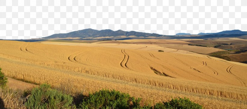 Ecoregion Soil Grassland Sand Land Lot, PNG, 1200x530px, Ecoregion, Agriculture, Commodity, Crop, Ecosystem Download Free