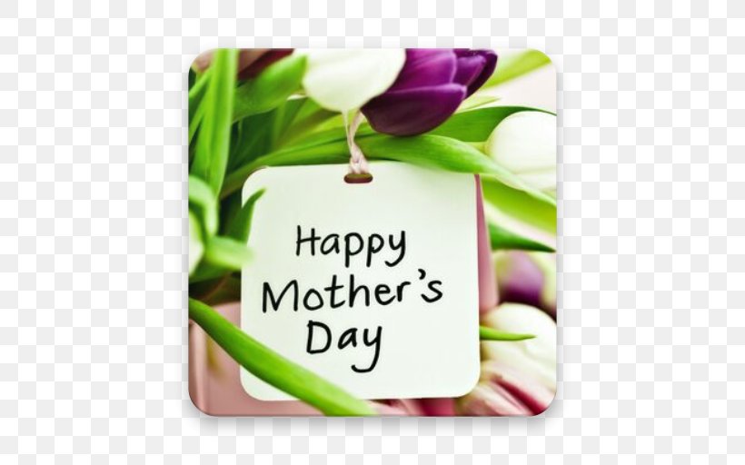 Mother's Day Gift Desktop Wallpaper, PNG, 512x512px, Mother, Child, Daughter, Flower, Flowering Plant Download Free