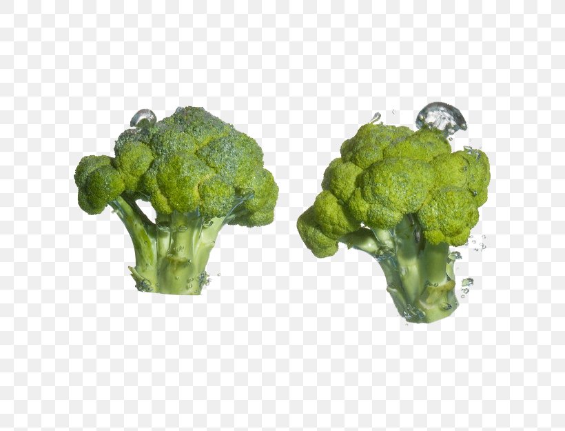 Broccoli Cauliflower Cabbage Food Vegetable, PNG, 624x625px, Broccoli, Bean, Blanching, Blueberry, Brassica Oleracea Download Free