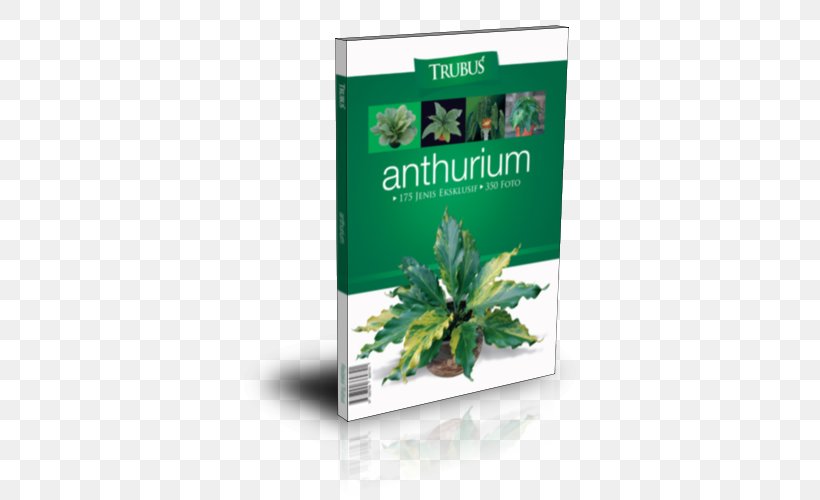 Herbalism Leaf, PNG, 500x500px, Herb, Herbal, Herbalism, Leaf, Plant Download Free