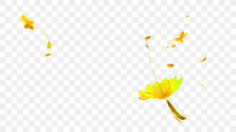 Wallpaper, PNG, 992x557px, Floating Material, Branch, Close Up, Designer, Flora Download Free