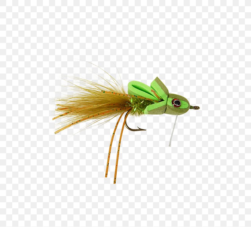 Artificial Fly Insect Holly Flies Striped Bass, PNG, 555x741px, Artificial Fly, Bluefish, Chartreuse, Email, Fly Download Free