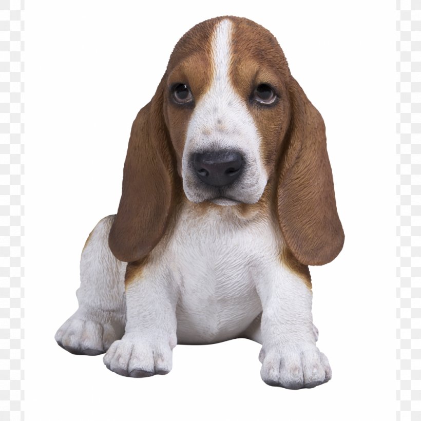 Basset Artésien Normand Basset Hound Finnish Hound Beagle Puppy, PNG, 1000x1000px, Basset Hound, Beagle, Breed, Carnivoran, Cavalier King Charles Spaniel Download Free