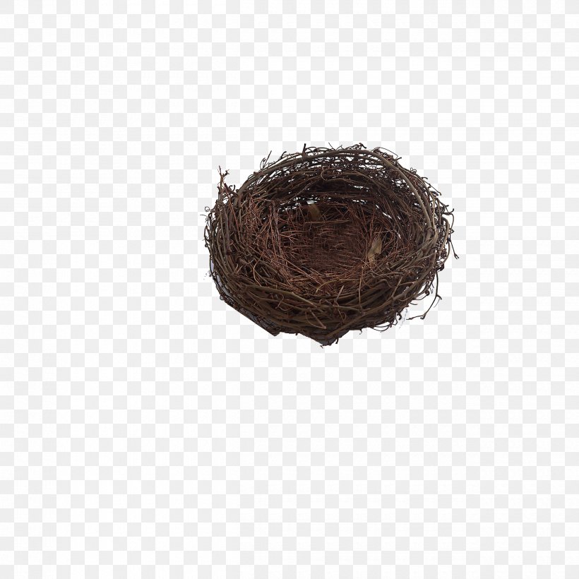 Bird Nest Paper Chicken Tree, PNG, 2500x2500px, Bird, Bird Nest, Birdwatching, Brown, Chicken Download Free