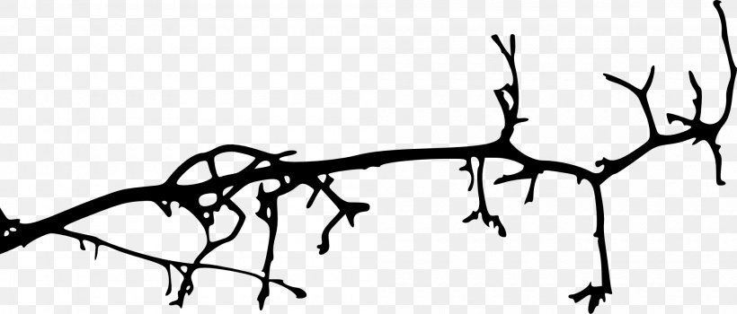 Branch Tree Silhouette, PNG, 2000x854px, Branch, Black And White, Flora, Flower, Leaf Download Free