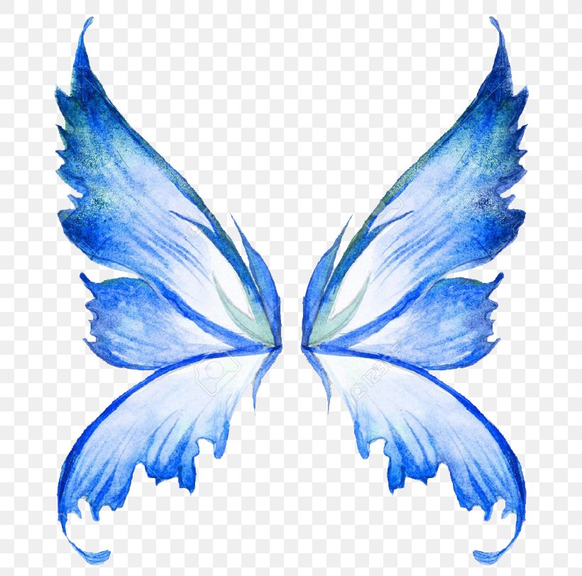 Fairy Drawing Stock Photography Clip Art, PNG, 800x812px, Fairy, Angel, Art, Butterfly, Drawing Download Free