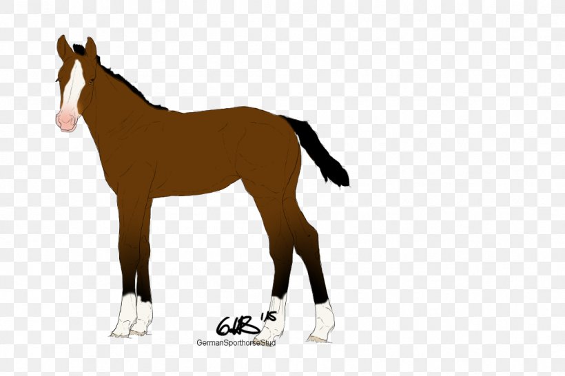 Mustang Foal Colt Stallion Mare, PNG, 1095x730px, Mustang, Animal Figure, Bridle, Colt, Florida Kraze Krush Soccer Club Download Free