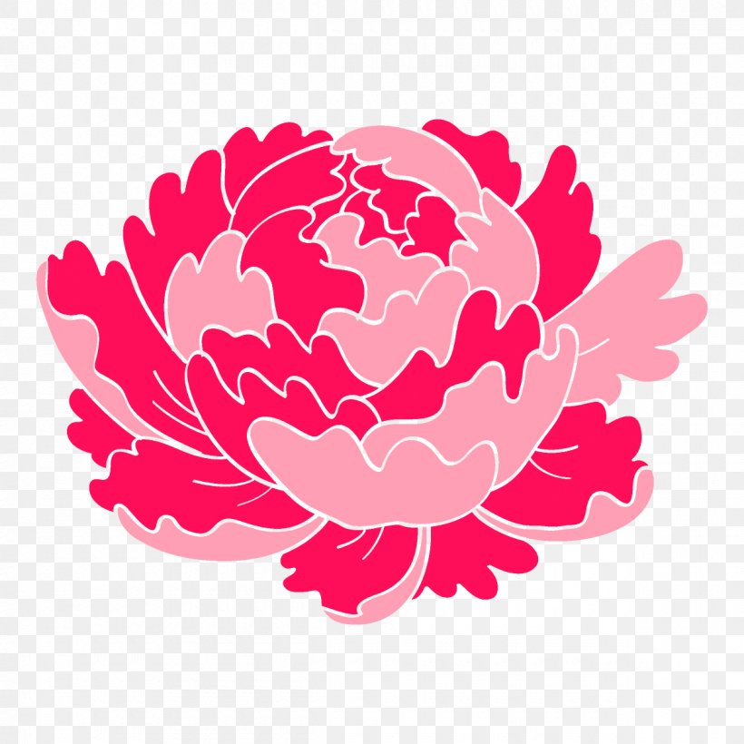 Pink Flower Plant Petal Peony, PNG, 1200x1200px, Pink, Carnation, Chinese Peony, Flower, Magenta Download Free