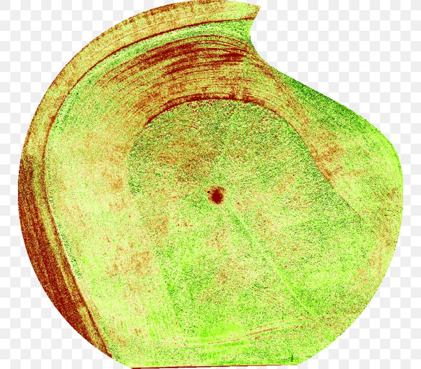 Circle, PNG, 750x719px, Organism, Artifact, Grass Download Free