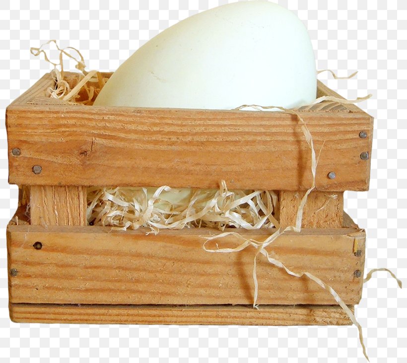 Duck Egg Carton Wood, PNG, 800x731px, Duck, Box, Designer, Easter, Egg Download Free