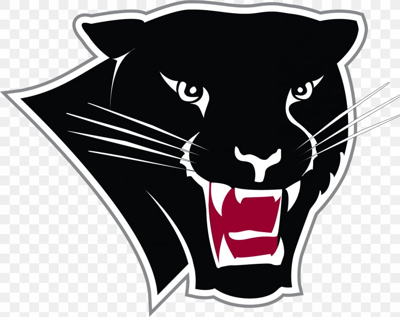 Florida Institute Of Technology Florida Tech Panthers Football Florida Tech Panther Stadium Florida Tech Panthers Women's Basketball American Football, PNG, 1488x1180px, Florida Institute Of Technology, American Football, Big Cats, Black, Black And White Download Free