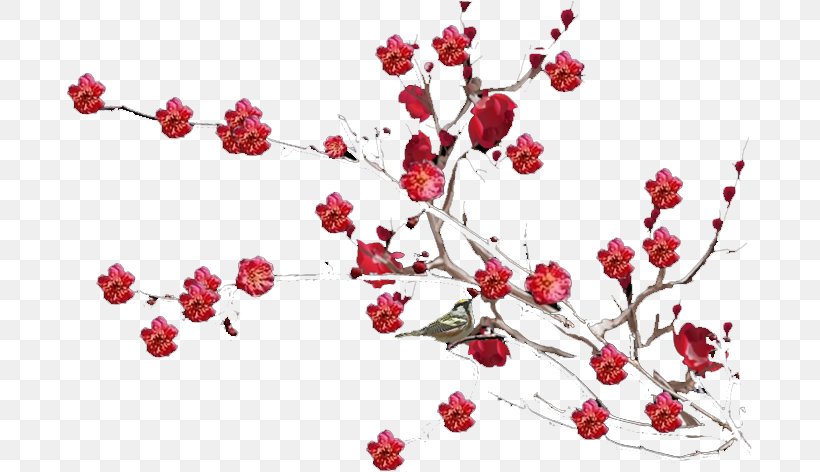 Plum Blossom Landscape Gratis, PNG, 685x472px, Plum Blossom, Ameixeira, Blossom, Branch, Cherry Blossom Download Free