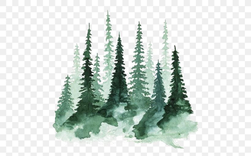 Study Of A Tree Watercolor Painting Pine, PNG, 500x511px, Study Of A Tree, Art, Conifer, Drawing, Film Download Free