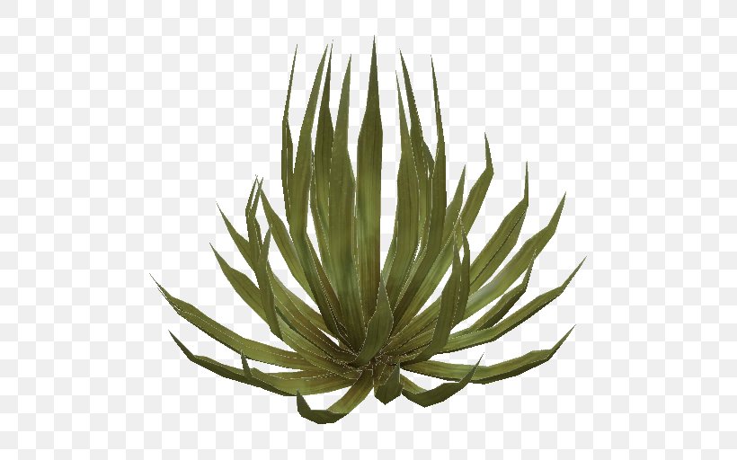 Deserts And Xeric Shrublands Deserts And Xeric Shrublands Plant, PNG, 512x512px, Shrub, Agave, Agave Azul, Agave Nectar, Aloe Download Free